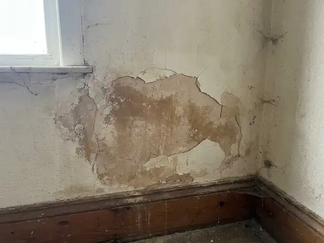 Vochtplek onderaan een binnenmuur boven de plint